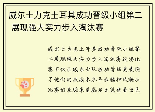 威尔士力克土耳其成功晋级小组第二 展现强大实力步入淘汰赛